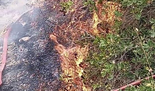 Aksaray'da anız yangını kontrolden çıktı, ormanlık alanı sardı