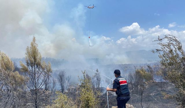 Antalya Aksu'da otluk alanda yangın