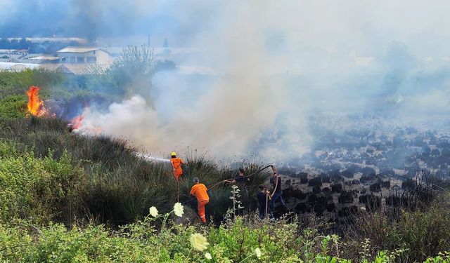 Antalya Aksu'da orman yangını! Hava ve karadan müdahale ediliyor