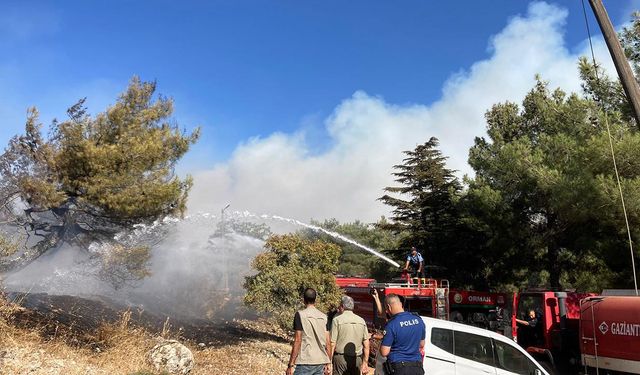 Gaziantep'te orman yangını: Ekipler alevlerle cansiperane mücadele ediyor