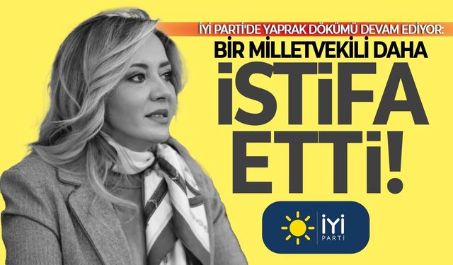 İYİ Parti'de yaprak dökümü devam ediyor: Bir milletvekili daha istifa etti!