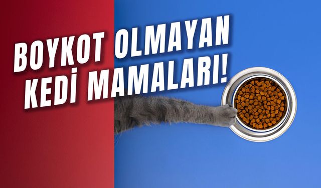 Boykot Olmayan Kedi Mamaları! Yerli Mama Markaları Hangileri?