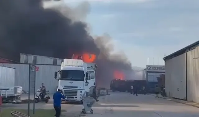 Bursa Yenişehir'de kereste fabrikası yangını: Ekipler müdahale ediyor