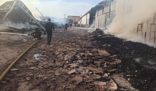 Bursa Yenişehir'de kereste imalathanesindeki yangın söndürüldü!
