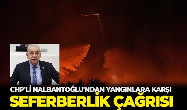 İzmir'deki yangınlarla ilgili kritik çağrı: CHP İzmir Milletvekili Rıfat Nalbantoğlu "toplumsal seferberlik" istedi!