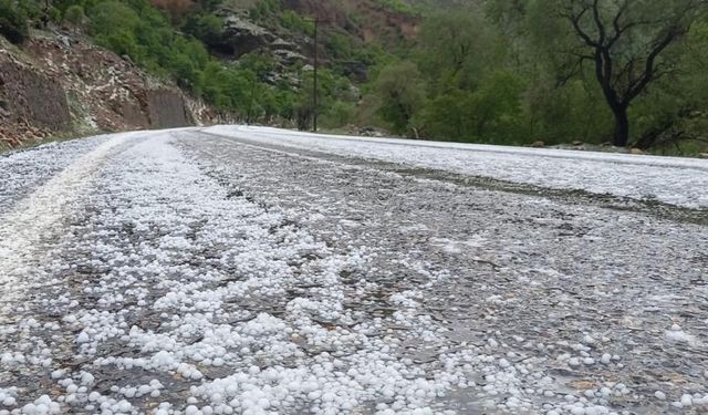 Erzincan’da dolu yağışı: Maddi hasar meydana geldi!