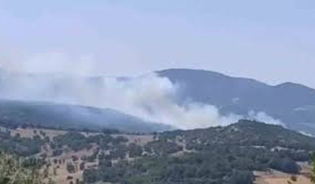 Bursa'da orman yangını: Ekipler havadan ve karadan müdahale ediyor!