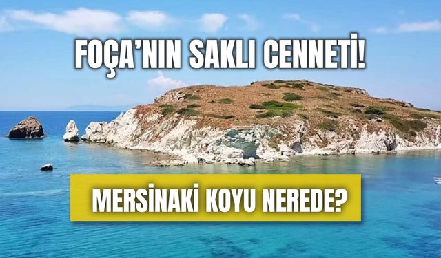 İzmir Foça’da Saklı Bir Cennet: Mersinaki Koyu Nerede?