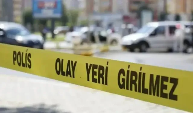 Diyarbakır'da kavgayı ayırmak istedi kurşunların hedefi oldu