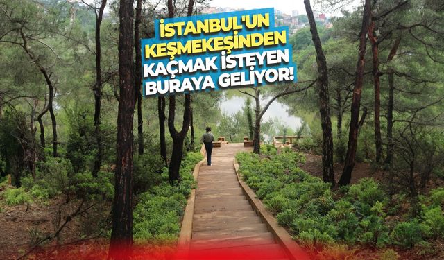 İstanbul'un keşmekeşinden kaçmak isteyen buraya geliyor: Atatürk Kent Ormanı nerededir? Nasıl gidilir?