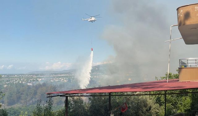 Hatay Arsuz'da orman yangını! Havadan ve karadan müdahale başladı