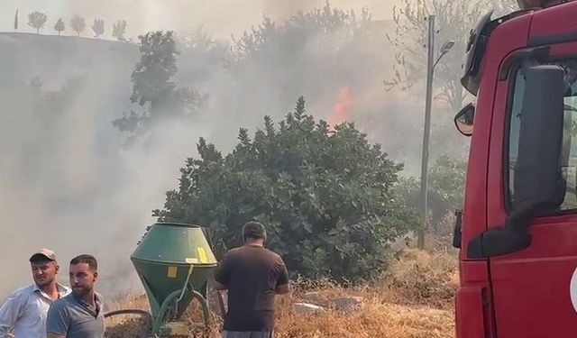 Aydos Ormanı'nda yangın çıkmıştı: 3 saatte söndürüldü!