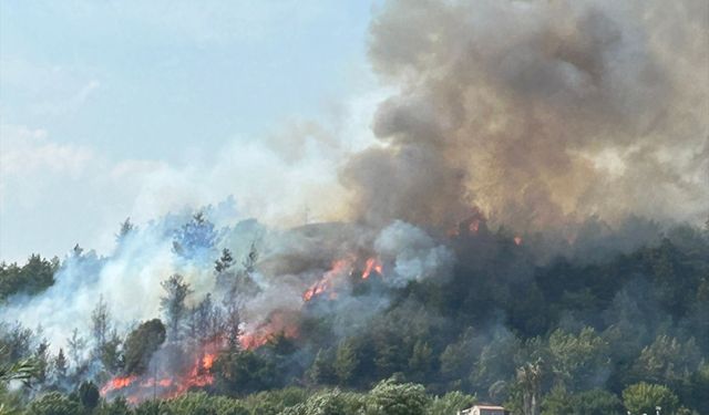 Antalya Aksu'da ormanlık alanda yangın