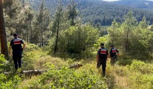 Orman yangınlarını önlemek için jandarma’dan karadan ve havadan denetimler