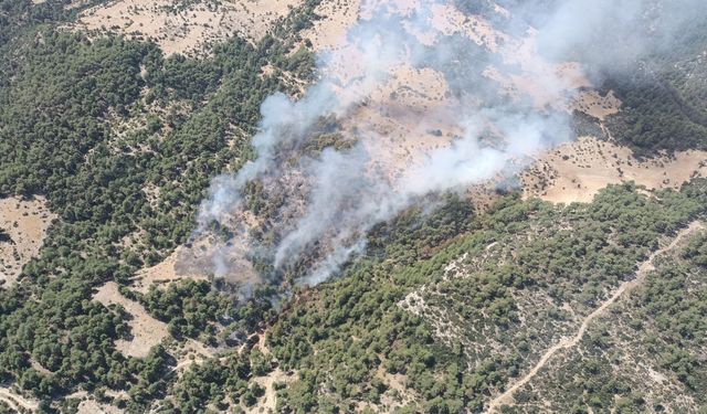 Antalya Kaş'ta orman yangını kontrol altına alındı