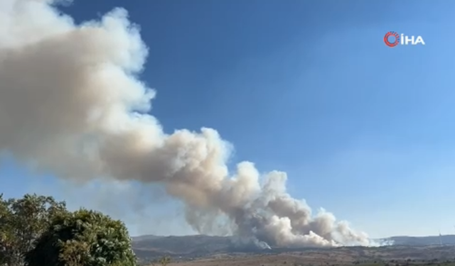 Uşak'ta orman yangını: Havadan ve karadan müdahale ediliyor!