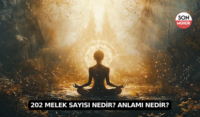 202 Melek Sayısı Nedir? Anlamı Nedir?