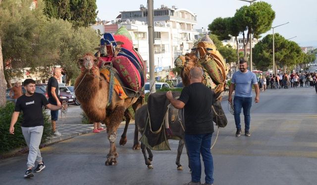 Didim Zeytin Festivali 2024: Renkli açılış kortejiyle başladı