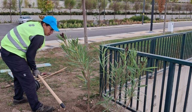 Balıkesir Büyükşehir Belediyesi’nden övgü dolu ödül