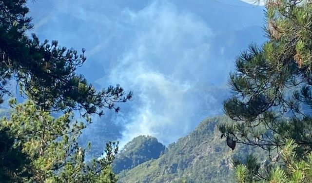 Hatay’da orman yangını: Ekipler havadan ve karadan müdahale ediyor!