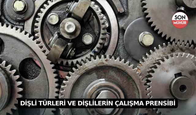 Dişli Türleri ve Dişlilerin Çalışma Prensibi