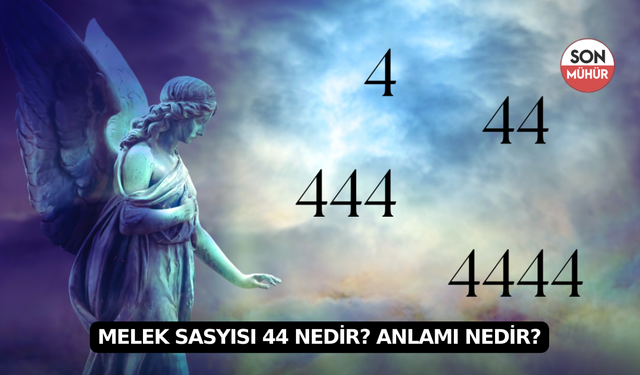 Melek Sasyısı 44 Nedir? Anlamı Nedir?