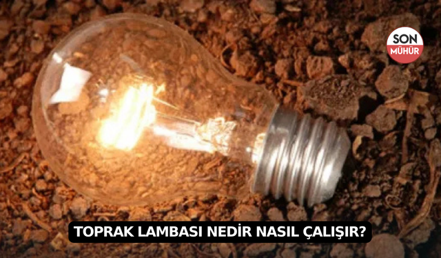 Toprak Lambası Nedir Nasıl Çalışır?