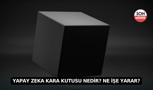 Yapay Zeka Kara Kutusu Nedir? Ne İşe Yarar?