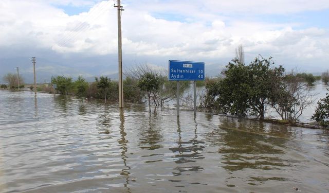 Büyük Menderes nehri kuruyor: Ege Bölgesi tarımında su krizi