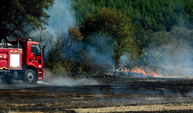 Menteşe'de anız yangını büyümeden söndürüldü