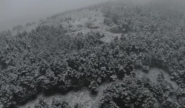 İstanbul’a mevsimin ilk karı düştü!