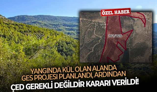 Yangında kül olan alanda GES projesi için ÇED Gerekli Değildir kararı!