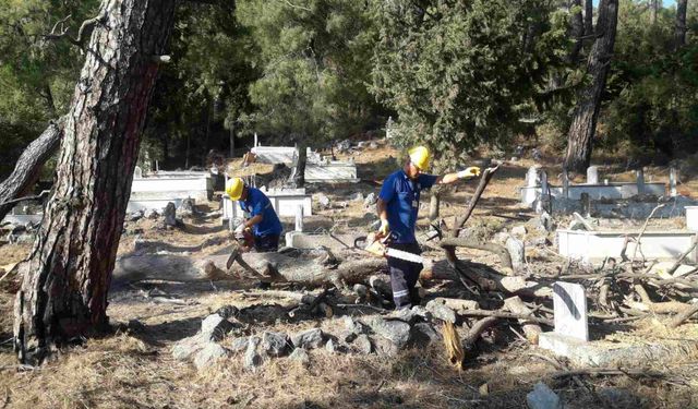 Muğla'da mezarlıklar temizleniyor, odunlar ihtiyaç sahiplerine yakacak oluyor