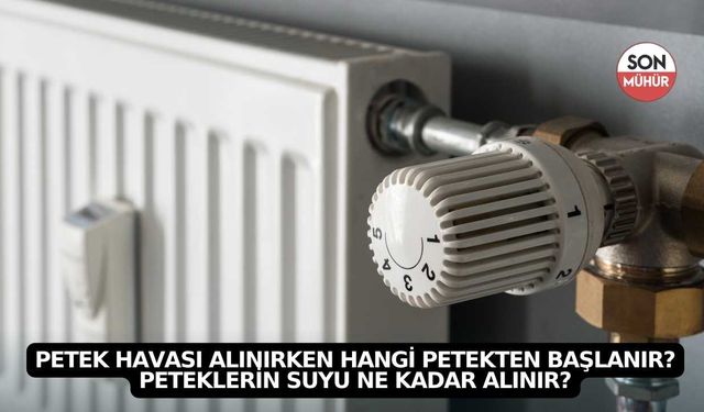 Petek havası alınırken hangi petekten başlanır? Peteklerin suyu ne kadar alınır?