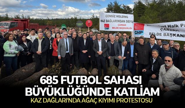 Kaz Dağları'nda ağaç kıyımı protestosu: 685 futbol sahası büyüklüğünde katliam