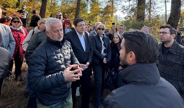 CHP heyetinden Halilağa Bakır Madeni'ne tepki: Ağaç kesimini durdurdular