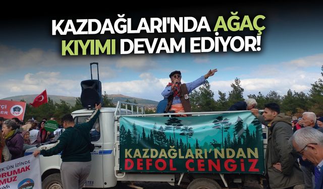 Kazdağları'nda ağaç kıyımı devam ediyor