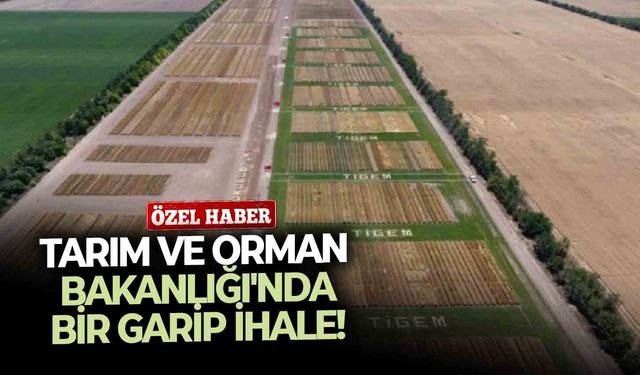 Tarım ve Orman Bakanlığı'nda bir garip ihale!