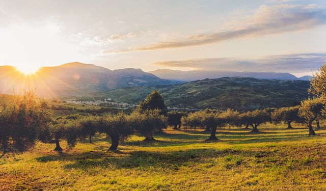 Altınyağ Yenilenebilir Enerji'den taşınmaz alımı