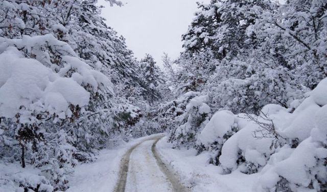 Afyonkarahisar'da kar yağışı nedeniyle okullar tatil