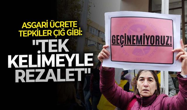 Asgari ücrete tepkiler çığ gibi: "Tek kelimeyle rezalet"