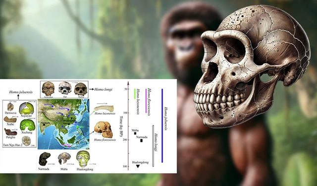 Homo Juluensis: Çin’deki yeni insan türü