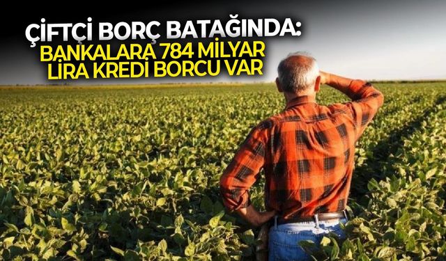 Çiftçi borç batağında: Bankalara 784 milyar lira kredi borcu var