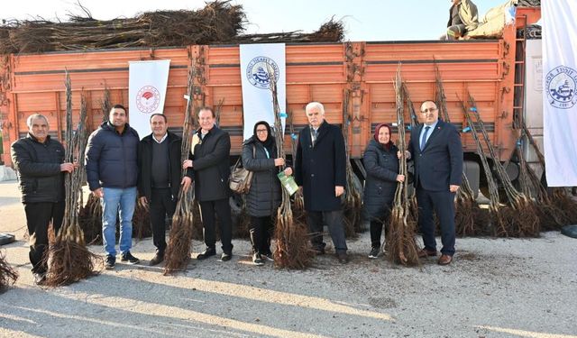 Denizli, ‘Cevizin Başkenti’ olma hedefiyle 50 bin fidan dağıtımı yapacak