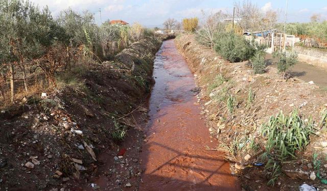 Manisa'da dereler temizlendi, taşkınlara son verildi!