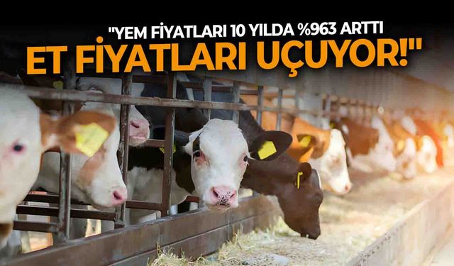 "Yem fiyatları 10 yılda %963 arttı, et fiyatları uçuyor!"