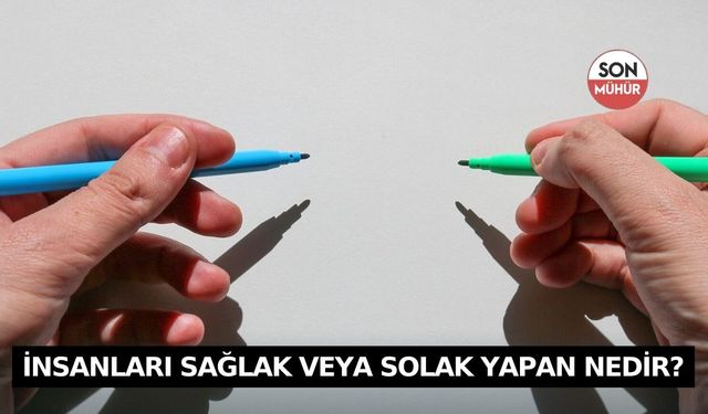 İnsanları Sağlak veya Solak Yapan Şey Nedir?