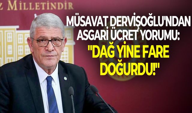 Müsavat Dervişoğlu'ndan asgari ücret yorumu: "Dağ yine fare doğurdu!"