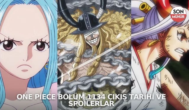 One Piece Bölüm 1134 Çıkış Tarihi ve Spoilerlar