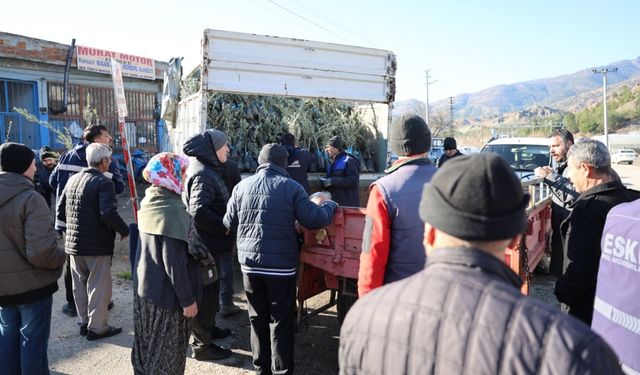 17 bin zeytin fidanı dağıtıldı